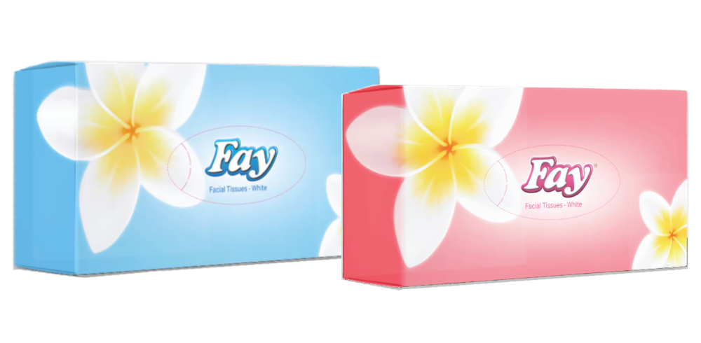 Fay Facial 80s